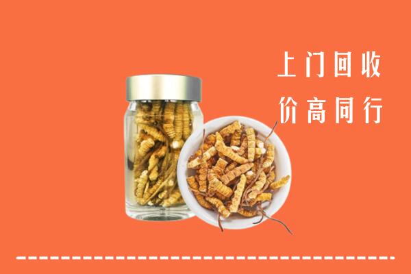 赤峰巴林右旗回收冬虫夏草